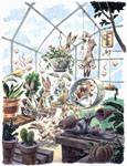 Greenhouse bunnies