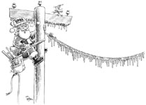 Carolina Power & Light - Santa